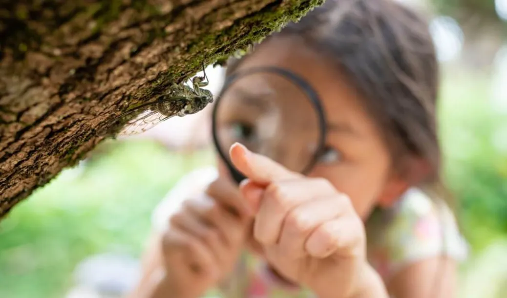 Micro-Safaris: Exploring the Small Wonders of Wildlife Tourism