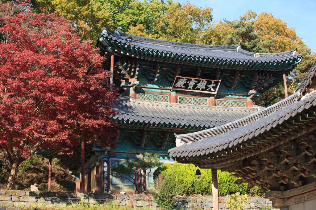 Autumn Travel Boost: Korea Cuts Prices on Templestay Experiences
