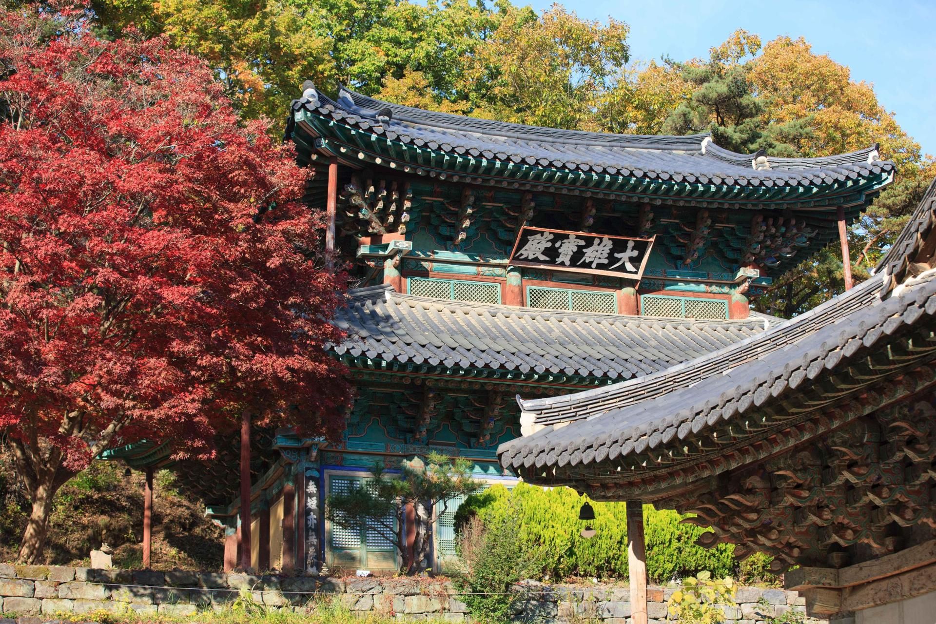 Autumn Travel Boost: Korea Cuts Prices on Templestay Experiences