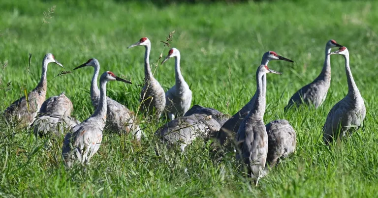 Three Lesser-Known Wisconsin Destinations Treasured by Locals