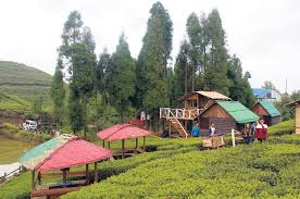 Increased Visitor Activity in Antu Hill and Surrounding Ilam Destinations