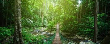 ASEAN and India Commit to Green Tourism Practices and Pollution Reduction