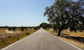 TUI Spain Introduces Flexible Route 66 Travel Catalog for Enthusiasts