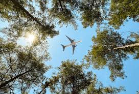 KPMG India Highlights Unified Strategy for Sustainable Aviation Fuel Deployment