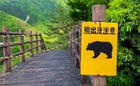 Les rencontres croissantes de l'ours montagnard au Japon incitent le Royaume-Uni à publier un avis aux voyageurs.
