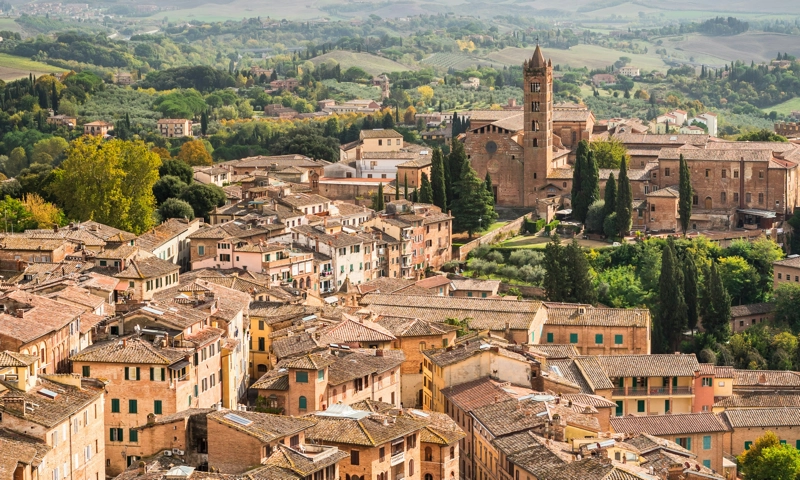 Local Retention: How a Tour Operator Keeps 72% of Revenue