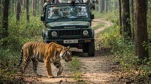 New Eco-Sensitive Zone for Kumbhalgarh Wildlife