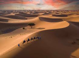 Neobmedzený zákaz cestovania občanov USA do Nigeru: Kontext a dôsledky