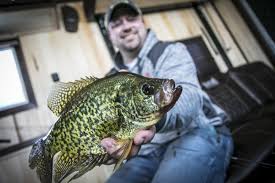 Outsmarting Panfish in the Deep of Winter