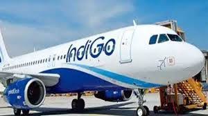 IndiGo halts services to Tbilisi, Almaty, Tashkent and Baku