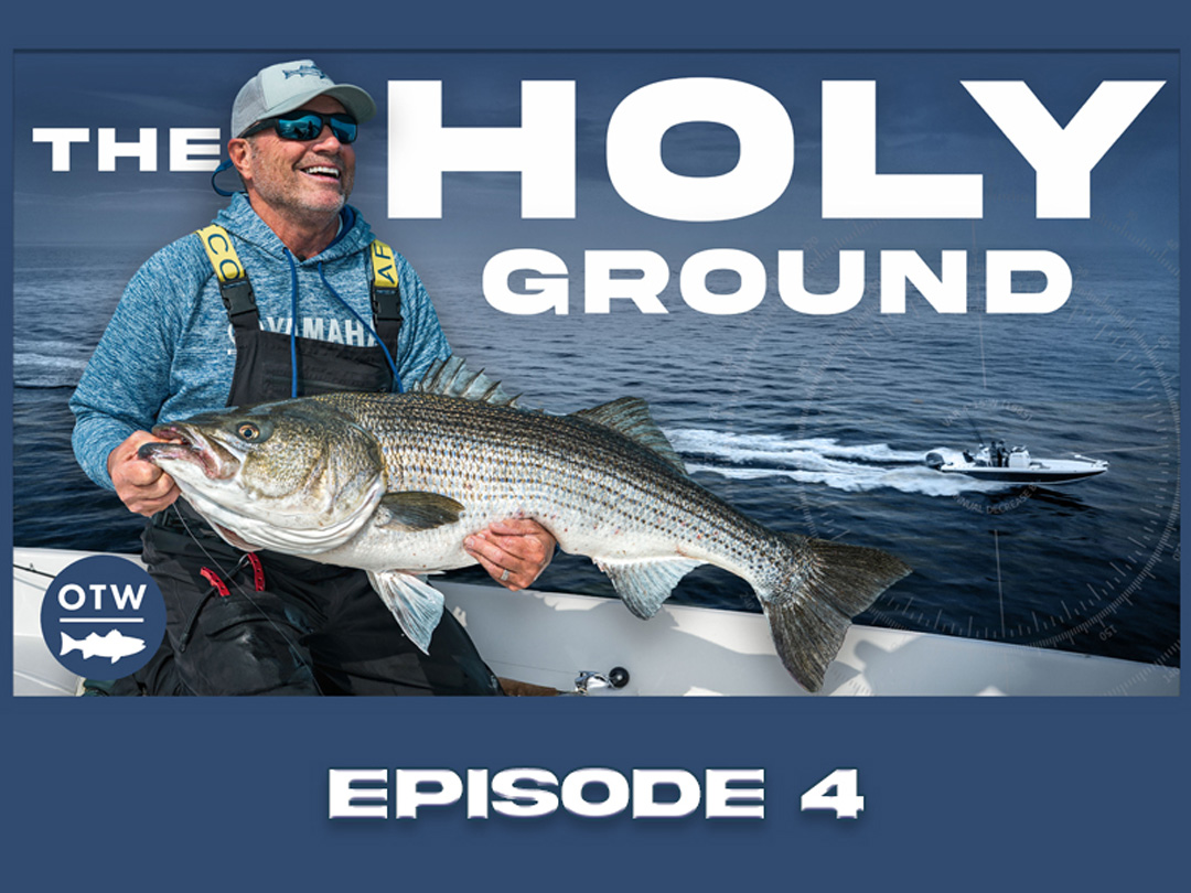 Early-Season Striped Bass at Block Island