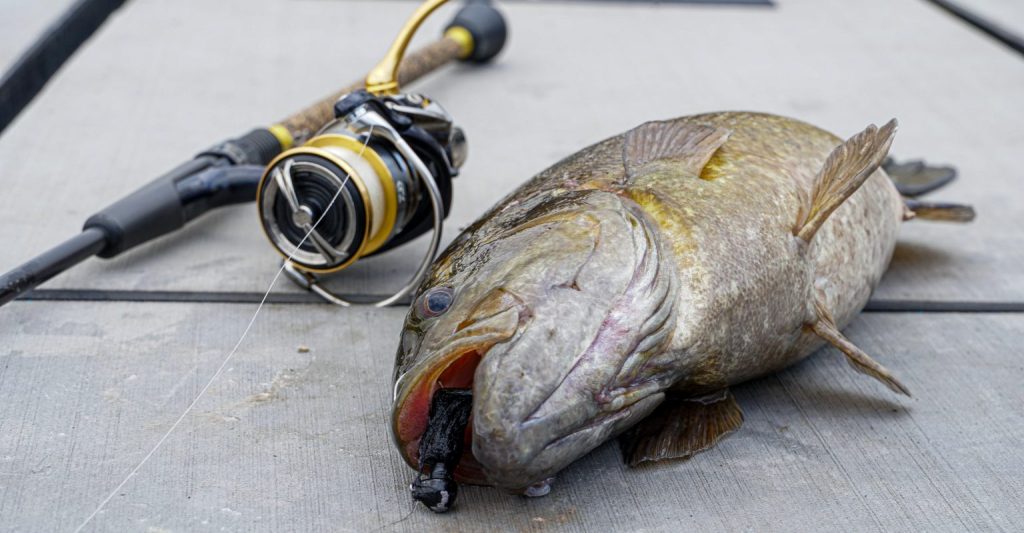 Tie and Fish Hair Jigs for Spring Bass