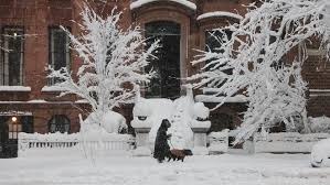 Blizzard Shuts Roads, Cancels Flights Across the Northeast