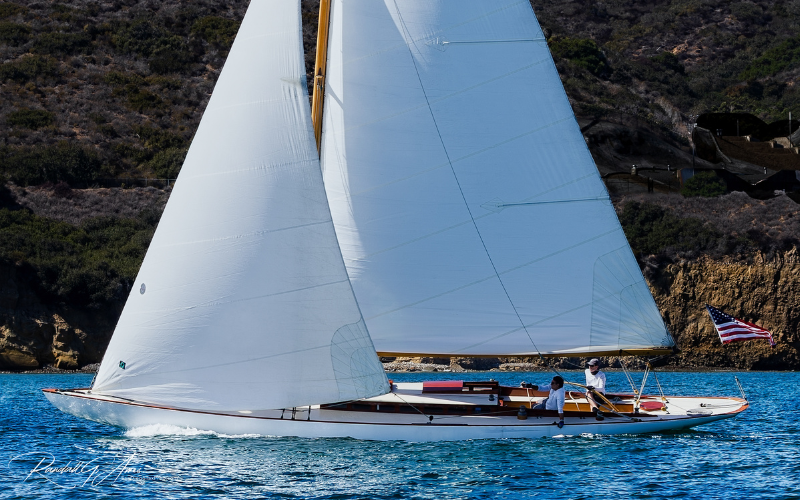 Falcon at 100: Q Class Returns to Racing